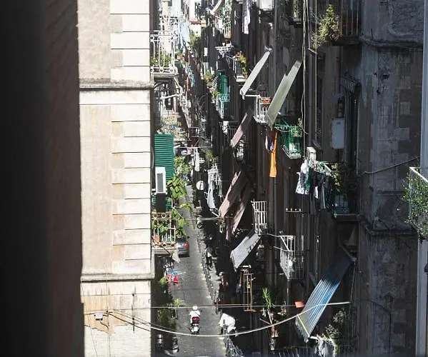 Bed & Breakfast Alvarez De Toledo